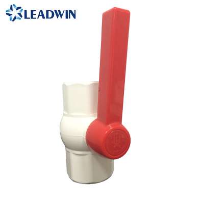 Leadwin Plastic PVC octagonal Ball Valves Slip Socket and Threaded White valve